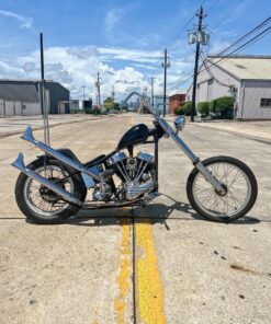 1956 Panhead Chopper motor